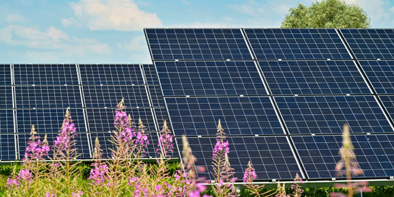 Image of solar panels in a country field representing Alternative Energy, a popular category in Plain Communities Business Exchange.