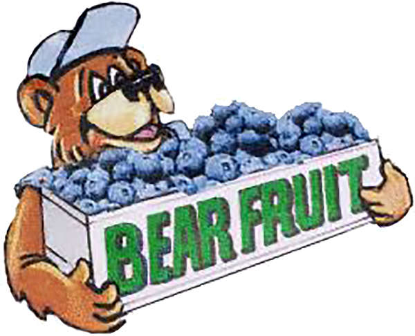 Bear Fruit